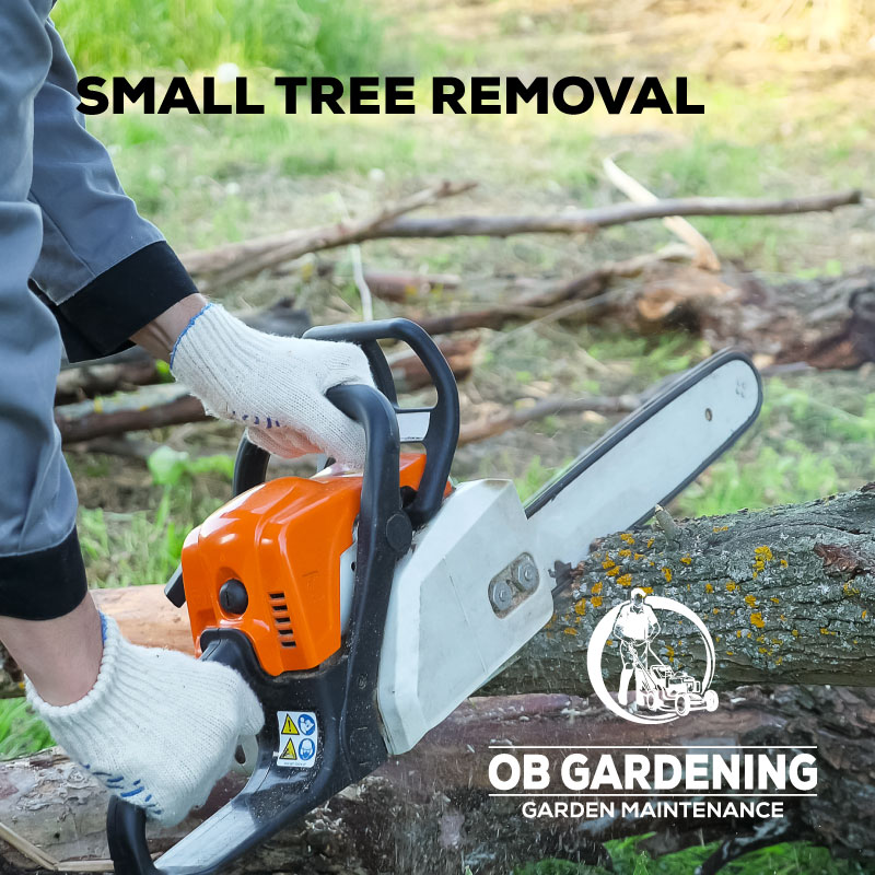OB Gardening Small Tree Removal: We handle the removal of small trees and hedges, ensuring a safe and tidy garden. www.obgardening.com
